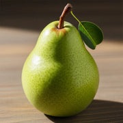 Cordon 'Williams' Bon Chrétien' Pear Tree | 9L Pot